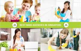 Looking For New Maid in Singapore, Bukit Timah