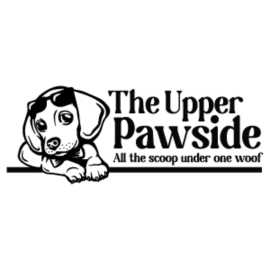The Upper Pawside, San Francisco
