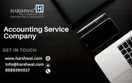 Professional Accounting Service Company, San Diego