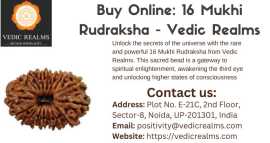 Order 16 Mukhi Rudraksha Today - Vedic Realms, $ 0