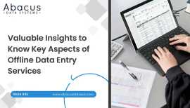 Vital Aspects of Offline Data Entry Services , Dallas