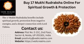 Buy 17 Mukhi Rudraksha Online For Spiritual Growth, $ 0