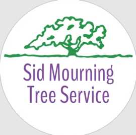 Tree Trimming and Pruning, Austin