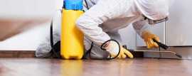 Shield Your Business with Commercial Pest Control , Keysborough