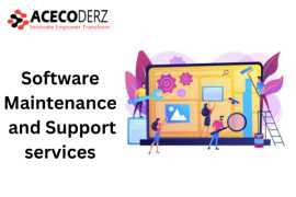 Complete Software Maintenance and Support services, Lucknow