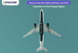 Delta Airlines Low Fare Calendar at Lowfarescanner, Akhiok