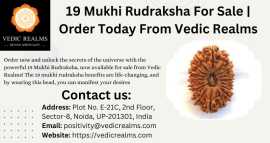 19 Mukhi Rudraksha For Sale | Order Today From Ved, ps 0