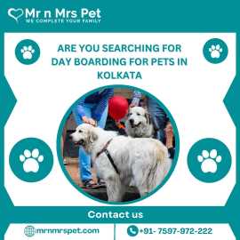 Professional Day Boarding For Pets in Kolkata, Kolkata