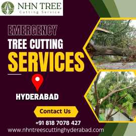 Tree Cutting Services in Hyderabad - NHN Trees Cut, Hyderabad