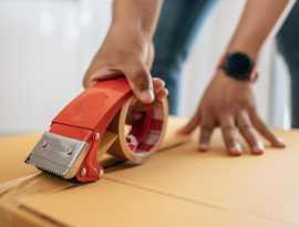 Tampa Movers With Packing Services, Saint Petersburg