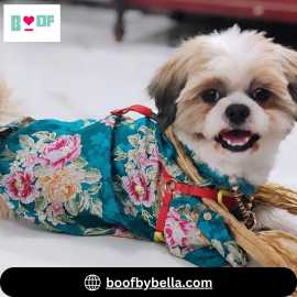 Shop Trendy Dog Kurta at Boof by Bella