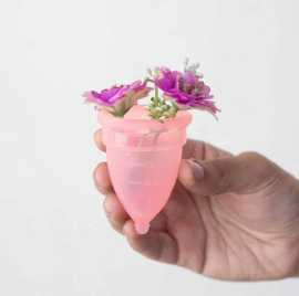 Buy the Best Menstrual Cup for Care by Shecup, Mumbai