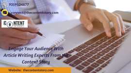 article writing experts
