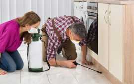 Rodent Control in Woodbridge , Vaughan