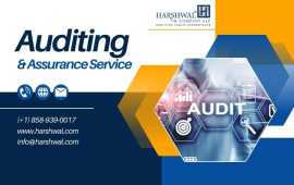Professional Auditing & Assurance Services, San Diego