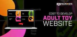 Best Adult Toy Website Development Company in the , New York