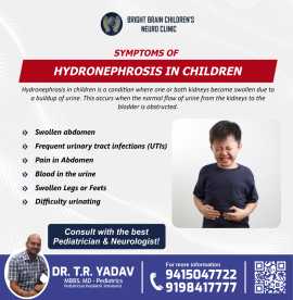 Symptoms of Hydronephrosis in Children | Dr. T R Y, Lucknow