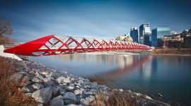 Specialized Corporate Law Firms for Business, Calgary