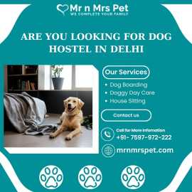 Best Dog Hostel in Delhi, New Delhi