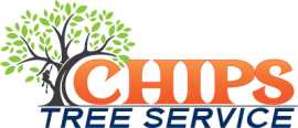 Chips Tree Service, Phoenix
