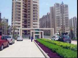  Expansive Apartment for Rent in Sector 137 Noida., Noida