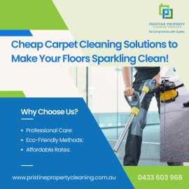 Cheap Carpet Cleaning Solutions to Make Your Floor, Melbourne