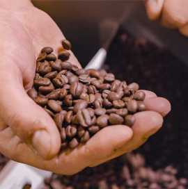 Madis Coffee Roasters Coffee Shop Near Me, Philadelphia