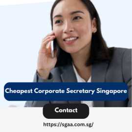 Cheapest Corporate Secretary Services in Singapore, Bukit Timah