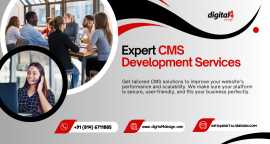 Reliable CMS Development Services , Mohali