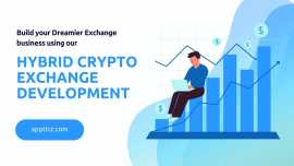 What is the cost of develop Hybrid crypto Exchange, New York