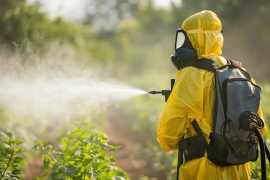 Affordable Pest Control Service in Edmonton , Calgary