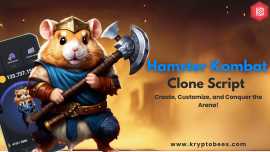 Hamster Kombat Clone Script, New York