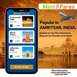 Cheap Toronto to Amritsar Flights with MintFares