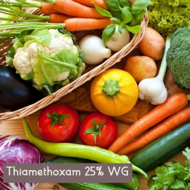 Thiamethoxam 25% Insecticide | Peptech Bioscience , New Delhi