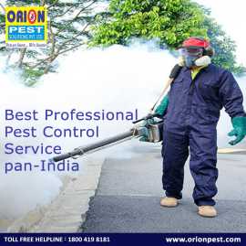 Professional Pest Control Services Available Pan , Kolkata