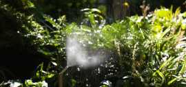 Backyard Mosquito System, New York