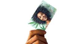 Get MMJ Card New York City Online, New York