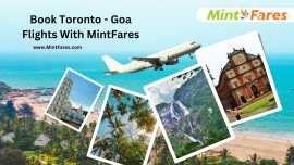  Toronto (YYZ) to Goa (GOI) - Flights