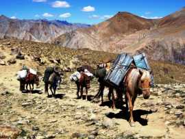 Ladakh Trekking Packages, Jammu
