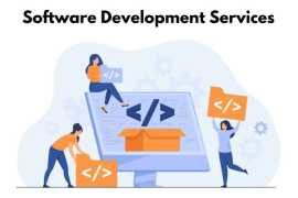 Software Development Services for Your Business, Lucknow