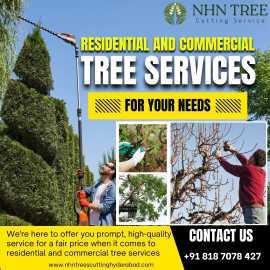 Residential and Commercial Tree Services Hyderabad, Hyderabad