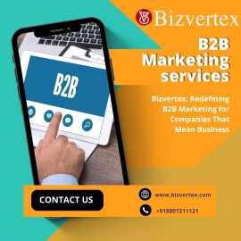 Drive More Leads with Bizvertex: B2B Marketing, Bethlehem