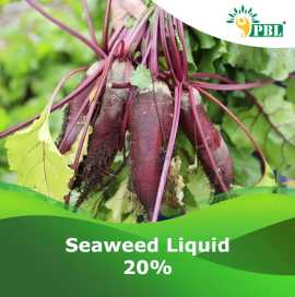 Liquid Seaweed Fertilizer| Peptech biosciences | M, New Delhi
