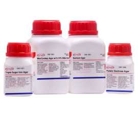 Bile Salts Manufacturers India, New Delhi