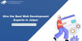 Hire the Best Web Development Experts in Jaipur, Jaipur