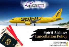  Spirit Airlines Cancellation Policy, New York