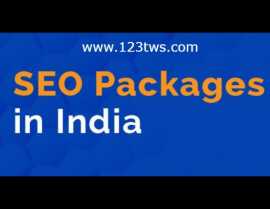 Affordable SEO Services for Small Businesses123TWS, Coimbatore