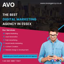 Top Digital Marketing Agency in Essex | Avoagency., Ingatestone