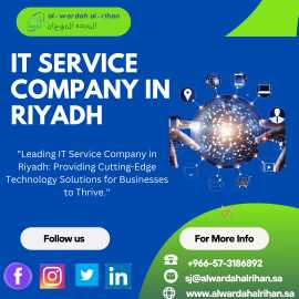 Why Invest in Professional IT Services in Riyadh?, Riyadh