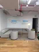 Transform Your Brand with Expert Vinyl Graphics , New York